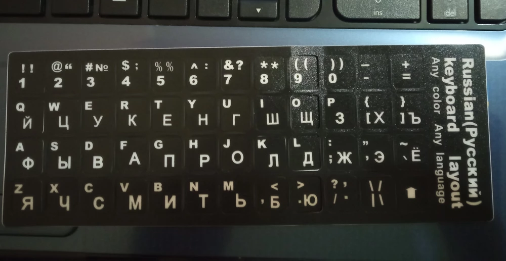 Всё пришло целое, без заломов и дефектов.