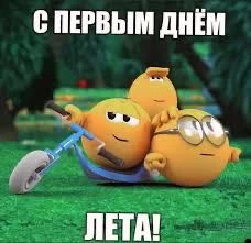 Мужики, выручайте! Если тут будет много лайков, то у вас под подушкой будет айфон 14, а так шорты имба, но наклеек нет