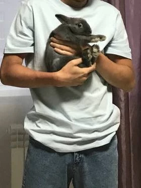 Любимому мужчине понравилось 🥰