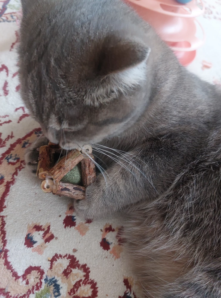 Спасибо большое, кошка в восторге!