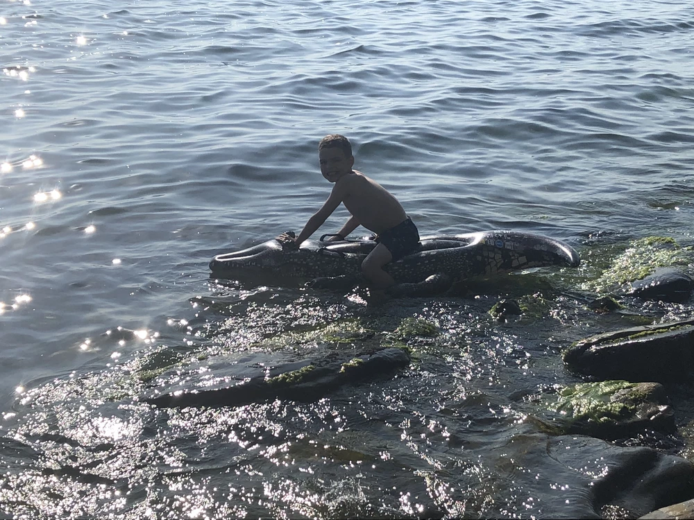 Отличный крокодил. На воде удержаться на нём сложновато, но этот момент придал детям элемент игры, кто продержится дольше или кто быстрее оседлает 😅 хорошая цена, спасибо продавцу.