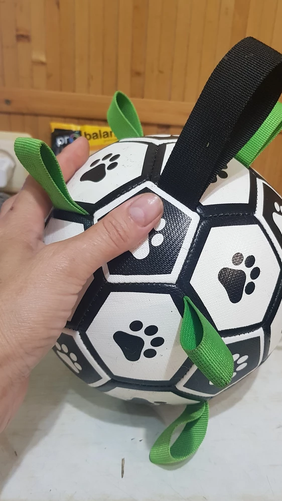 Отличеюный мячик . Собаки довольны