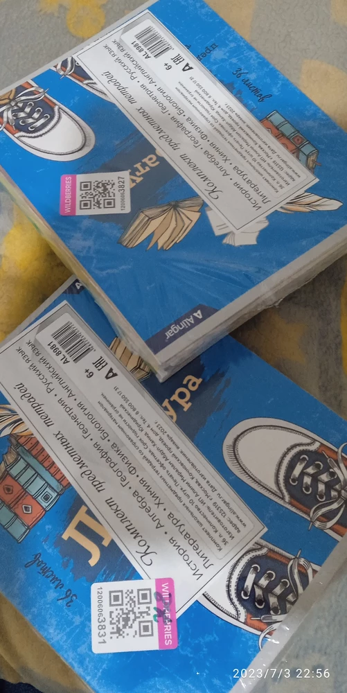 тетради пришли всё в комплекте и упаковке  , всё супер советую к покупке