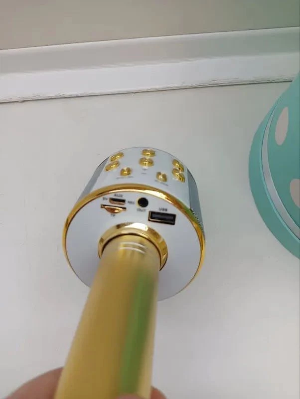 Прикольный микрофон за свои деньги. И как колонка работает да и песни попеть можно. Функция эхо смешная штука. Колонка довольна громкая. Когда поешь в микрофон хрипов или других посторонних звуков нет. Короче, прикольная вещь для праздников.