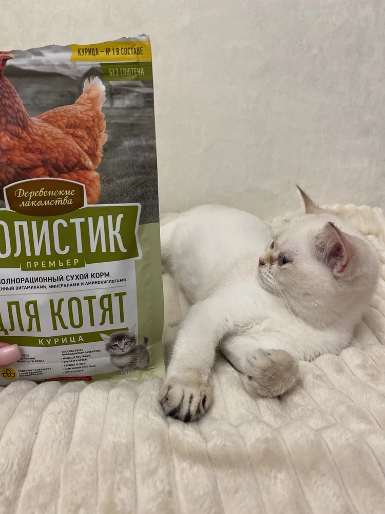 Котенок доволен 🥰