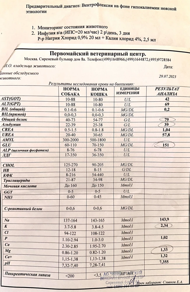 У нас 3 сфинкса.Брали корм третий раз по 10кг,передыдущие отлично ели,в этот раз пришла подделка (на фото видно,что гранулы не в форме подушечек и пористые,хотя корм тот же и брали у этого же продавца)У кота через 5 дней началась периодически рвота,кошки ели нормально,но не доедали поностью(раньше такого не было)Через 10 дней средняя кошка начала прижимать голову к груди,как будто голову не может поднять и ходит как будто у нее дцп!В ветклинике сделали общий анализ крови и поставили диагноз «вентерофлексия на фоне гипокалиемии»(фото анализов прилагаю).Думали сначала может наследственное,но когда вторая кошка(помет другой) на следующий день стала так же себя вести врачи сказали однозначно корм!