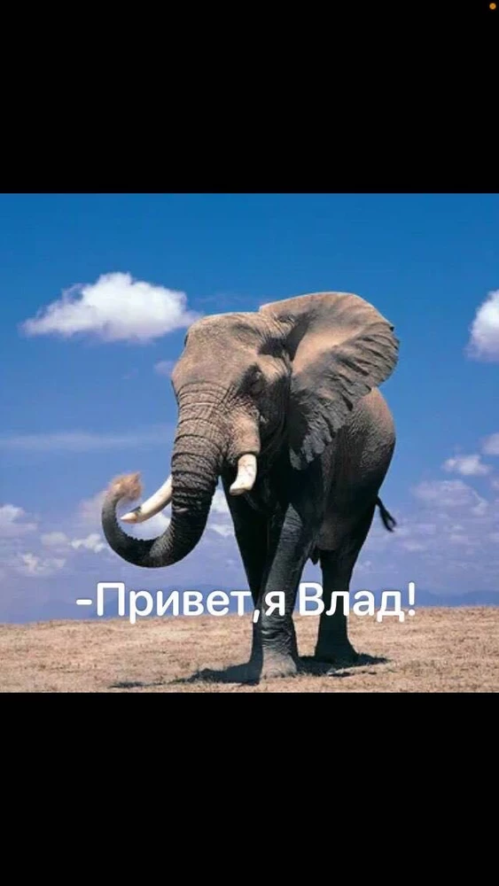 Срака 💩 слишком длинные, хотя в талии подходят. И ваще чо за пародия на джинсы