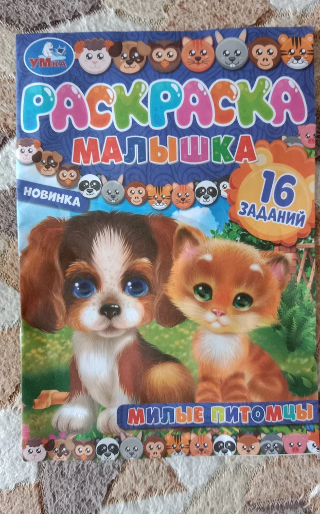 отличный кастюм брала дочке 8 месяцев . Ещё и положили в подарок раскраску спасибо 🙏😌
Цвет яркий,красивый 👍 ну вверх немного маленький надо было 80 размер заказать  . Рекомендую