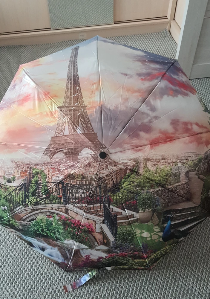 Отличный зонт,качественный,крепкий.Рисунок ,просто прелесть!!!