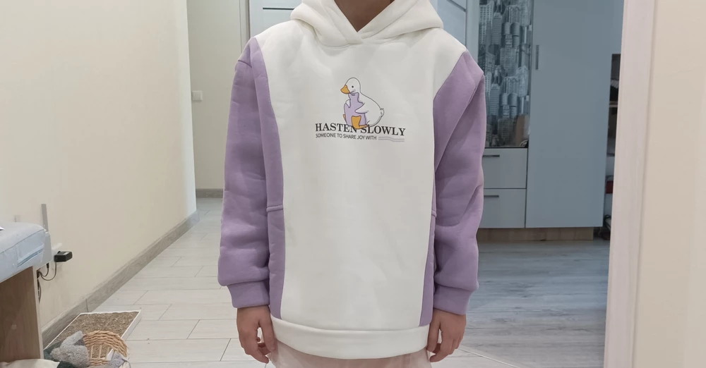 Тёплая толстовка с начёсом. Мягкая внутри. Размер подошёл. Рисунок чёткий и аккуратный.