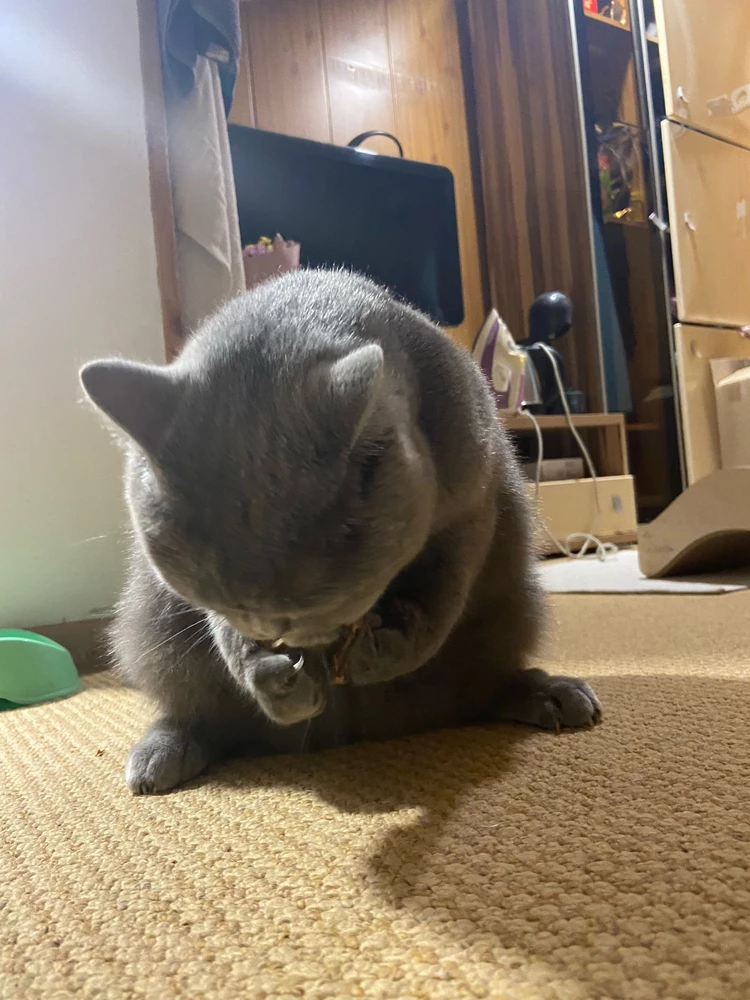 Не отпускает, довольная😁❤️