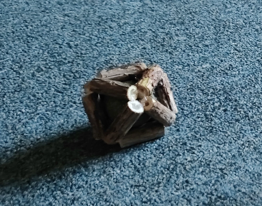 Клиент доволен! В подарок положили пружинку, но мы с котом ещё не поняли, что с ней делать