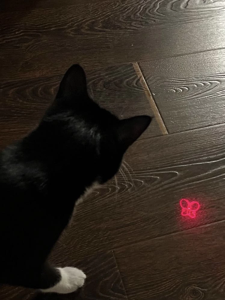 Очень классная штучка! Кот просто в восторге, сам уже просит включать лазер. Поставила на зарядку только на 3й день после постоянного использования. Все режимы работают хорошо. Мы довольны :)