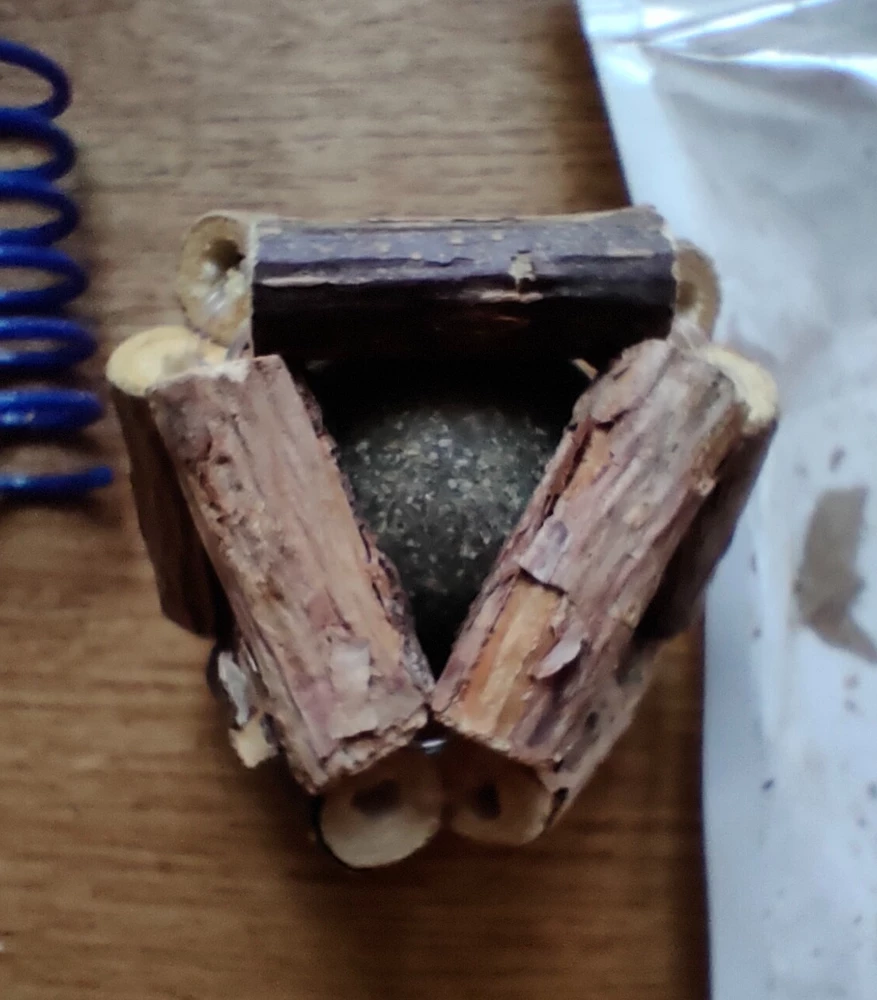 Весь пол в коре, мятой не пахнет, оба котенка игрушку игнорируют.