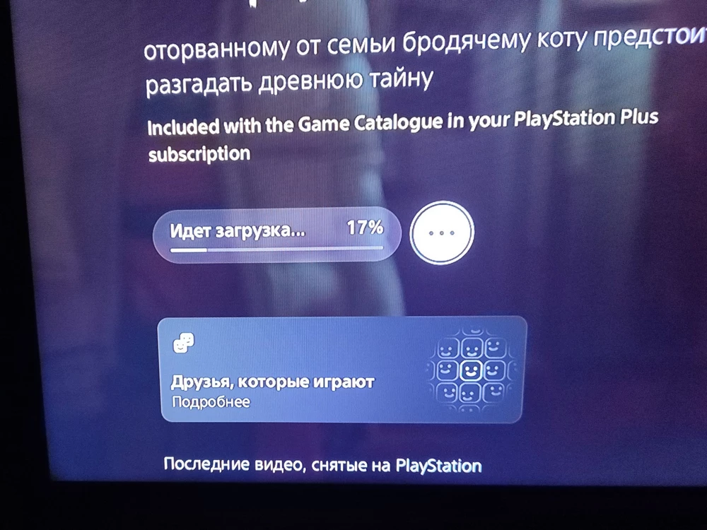 Все пришло быстро.ответили.создали аккаунт.все работает.